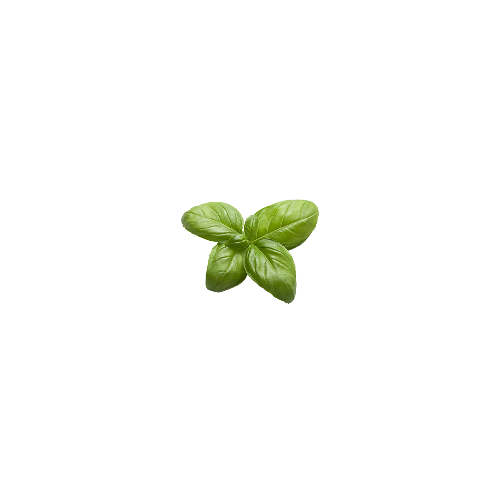 basil